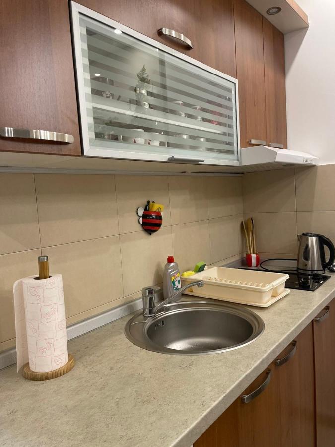 Vesna Apartman Vrnjačka Banja 外观 照片