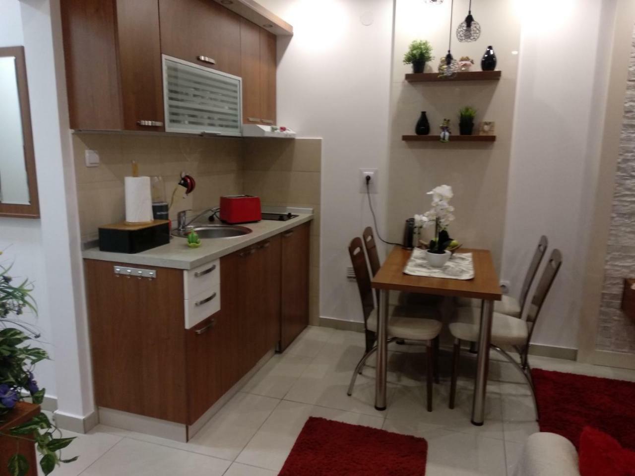 Vesna Apartman Vrnjačka Banja 外观 照片